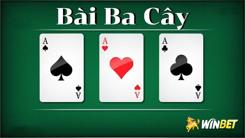 Bài 3 cây miền Bắc là gì?