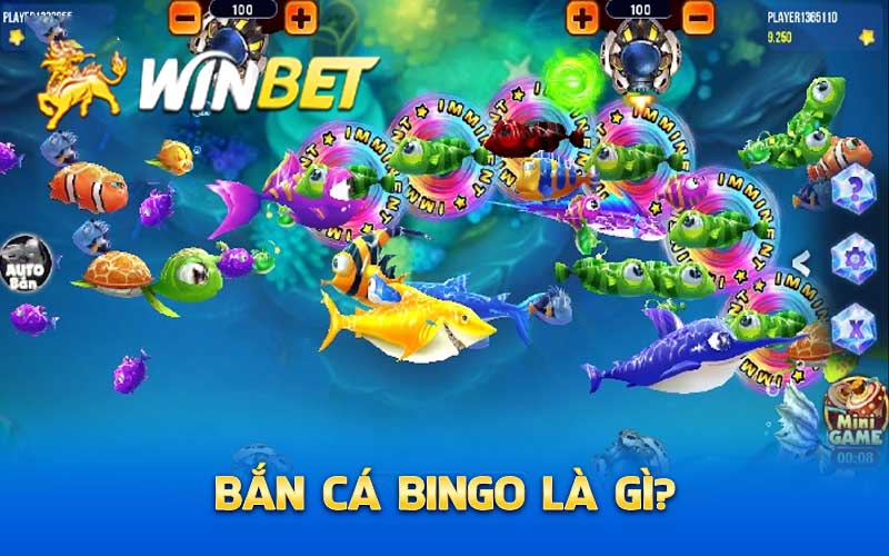 Bắn cá BIngo là gì?