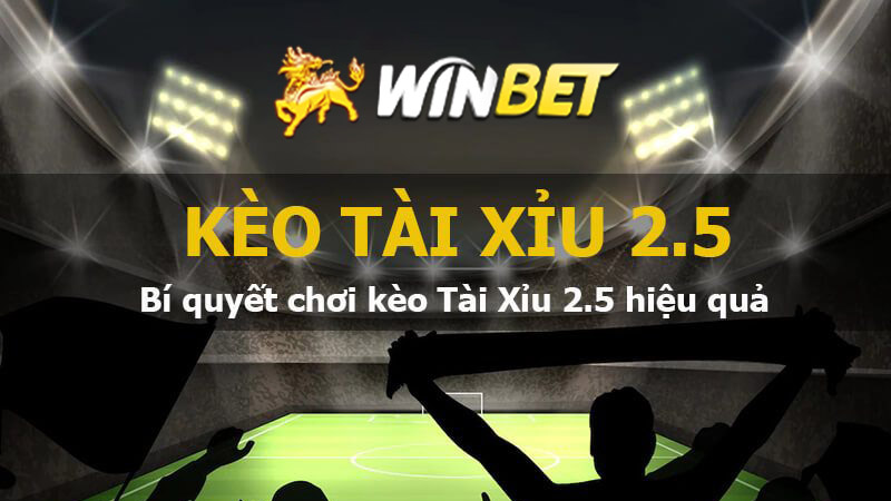 Bí quyết soi kèo tài xỉu 2.5 chuẩn xác