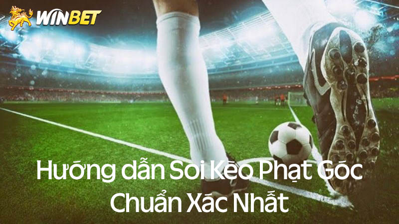 Hướng dẫn cách soi kèo phạt góc chuẩn xác nhất