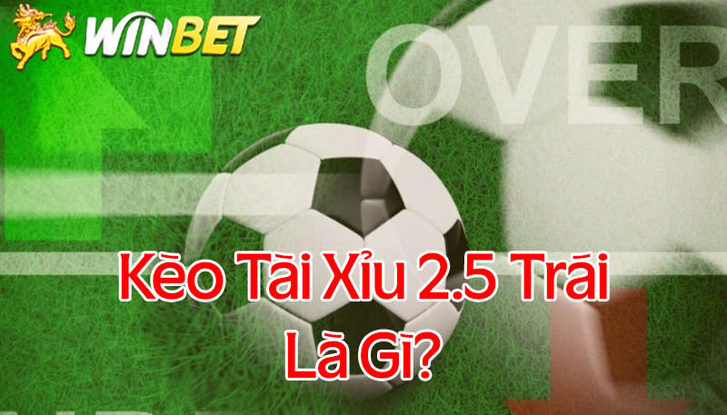 Kèo tài xỉu 2.5 trái là gì?