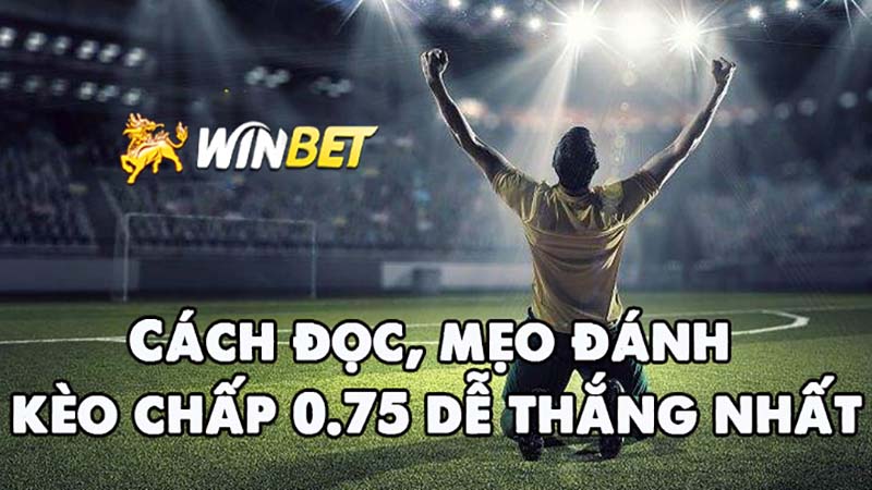 Kinh nghiệm soi kèo 0.75 chuẩn xác từ cao thủ