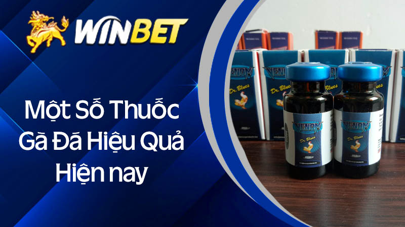 Một số thuốc gà đá hiệu quả hiện nay