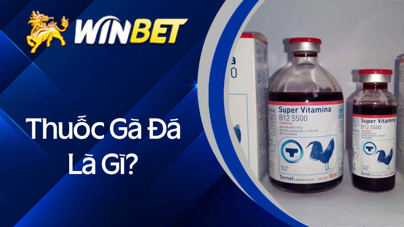 Thuốc gà đá là gì?