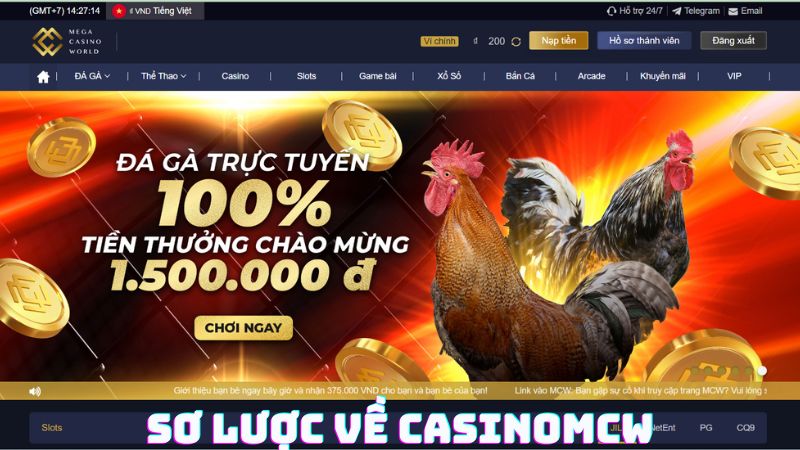 Sơ Lược về Sân Chơi Cá Cược Casinomcw