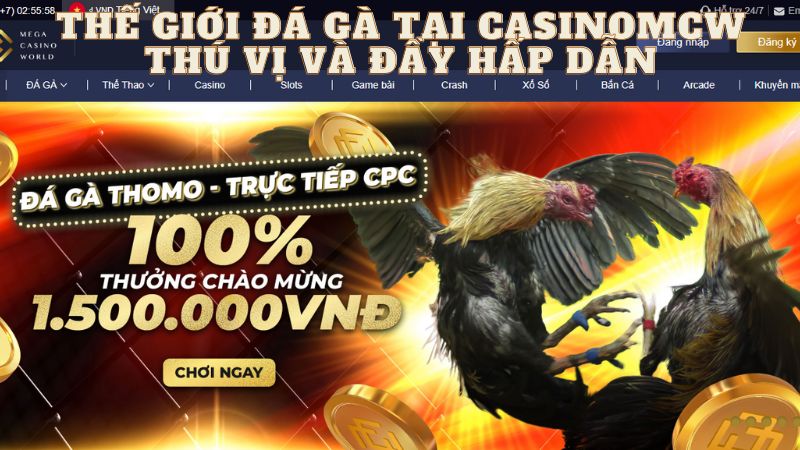 Vài nét sơ lược về casinomcw